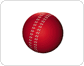 cricket ball