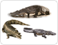 Beispiele für Reptilien