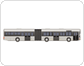 articulated bus