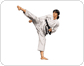 Karateka