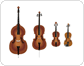 violin family