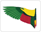 wing image