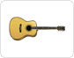 acoustic guitar