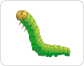 caterpillar image