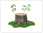 stump image