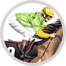 horse racing: turf image