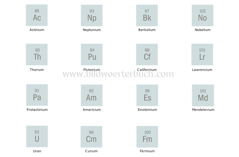 actinides image