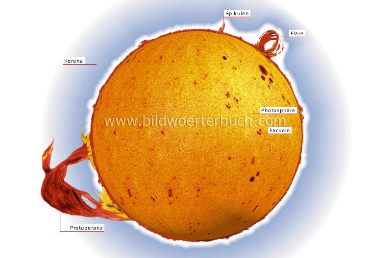 structure of the Sun image