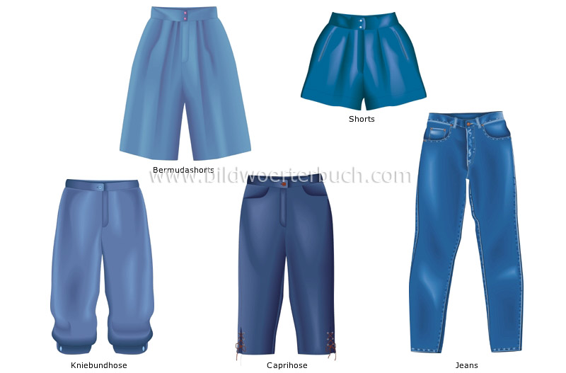 examples of pants image