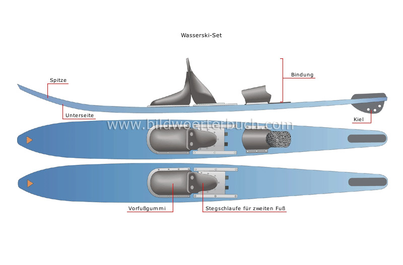 examples of skis image