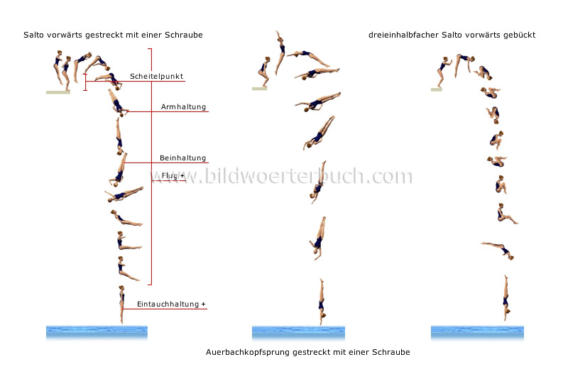 Beispiele für Sprünge Bild