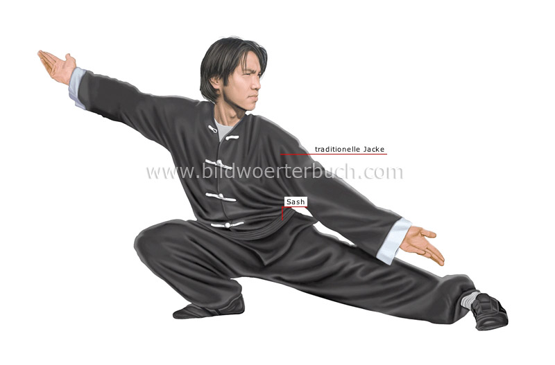 kung fu practitioner image