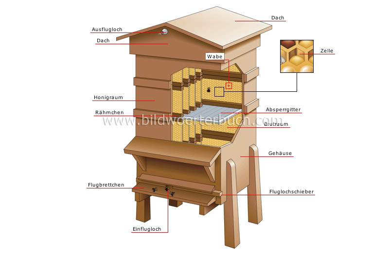 hive image