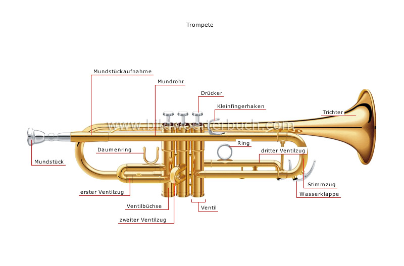 wind instruments image