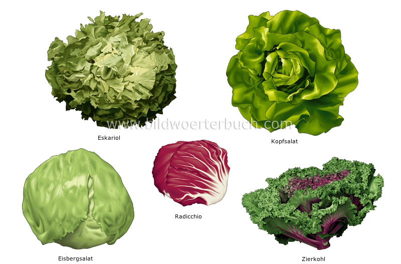 leaf vegetables image