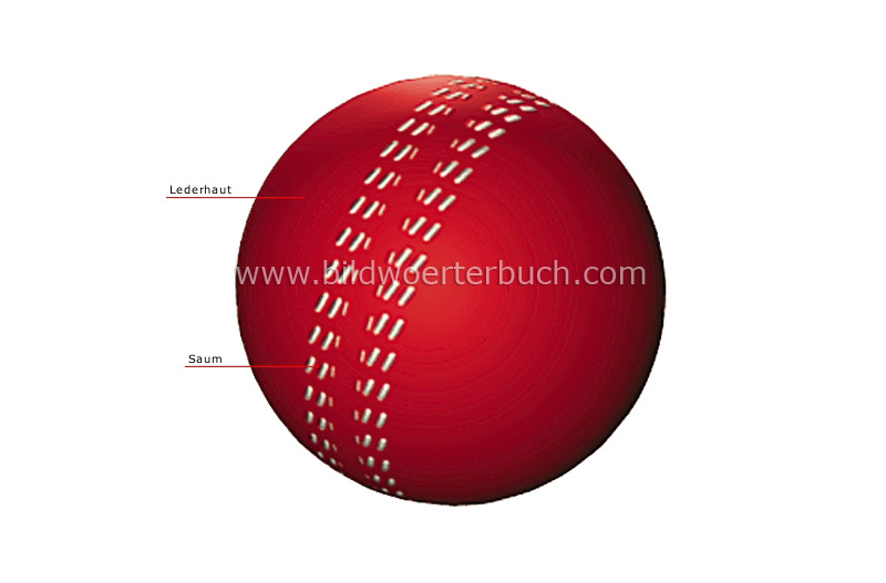 cricket ball image