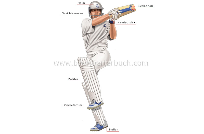 cricket player: batsman image