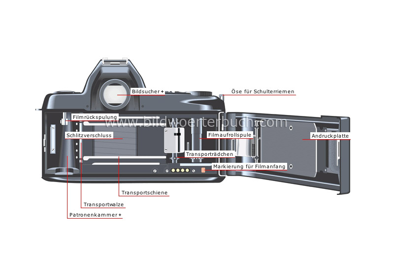 einäugige Spiegelreflexkamera/SLR-Kamera: Rückansicht Bild