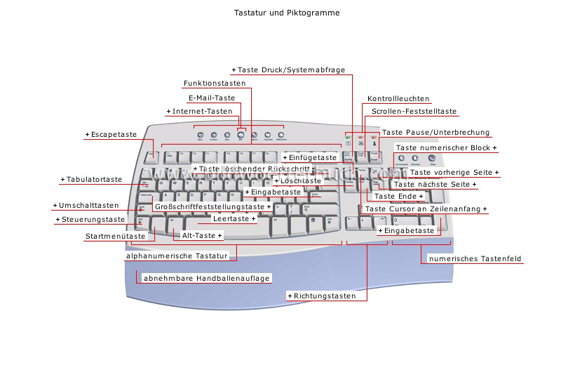 input devices image