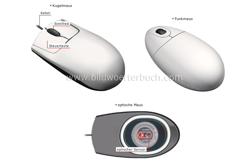 input devices image