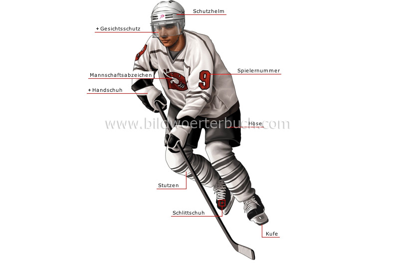 ice hockey player image