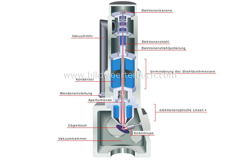 cross section of an electron microscope image