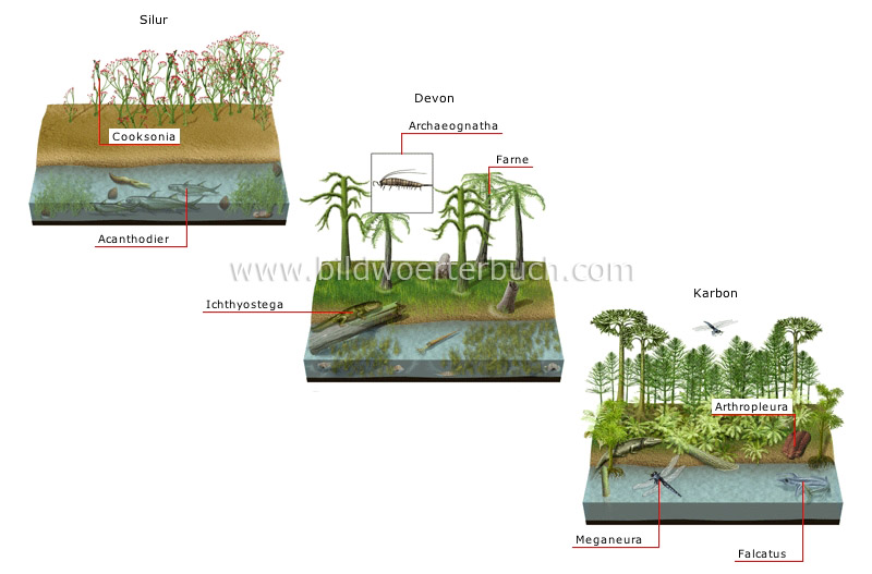 origin and evolution of species image