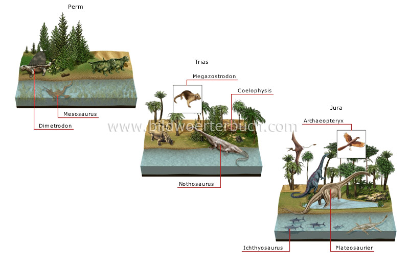 origin and evolution of species image