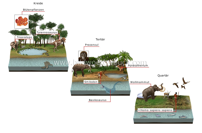 origin and evolution of species image