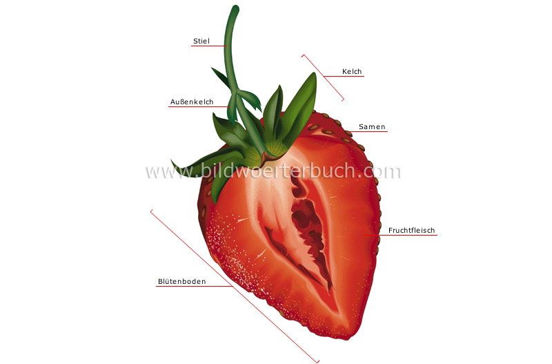 section of a strawberry image