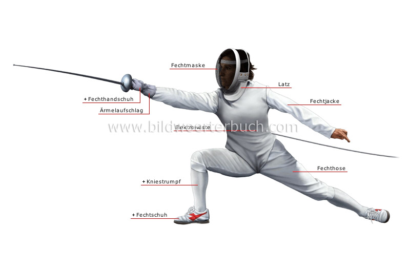 fencer image