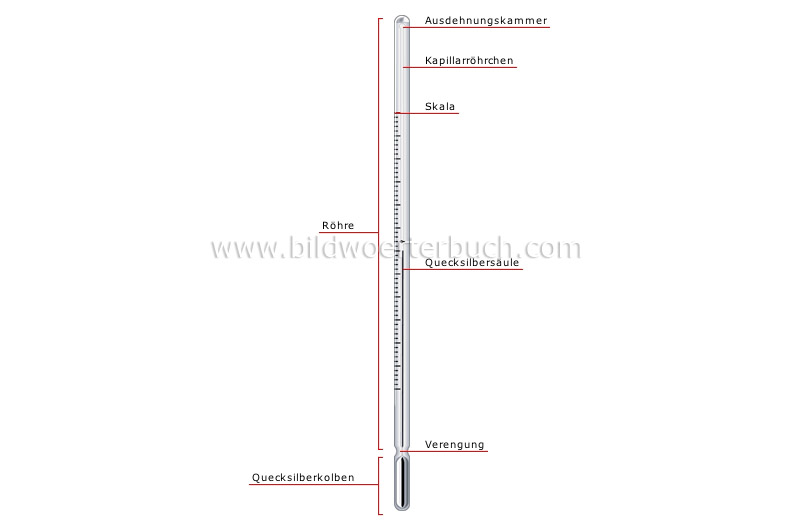 Fieberthermometer Bild