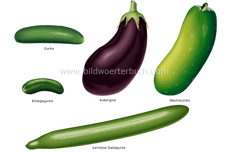 fruit vegetables image