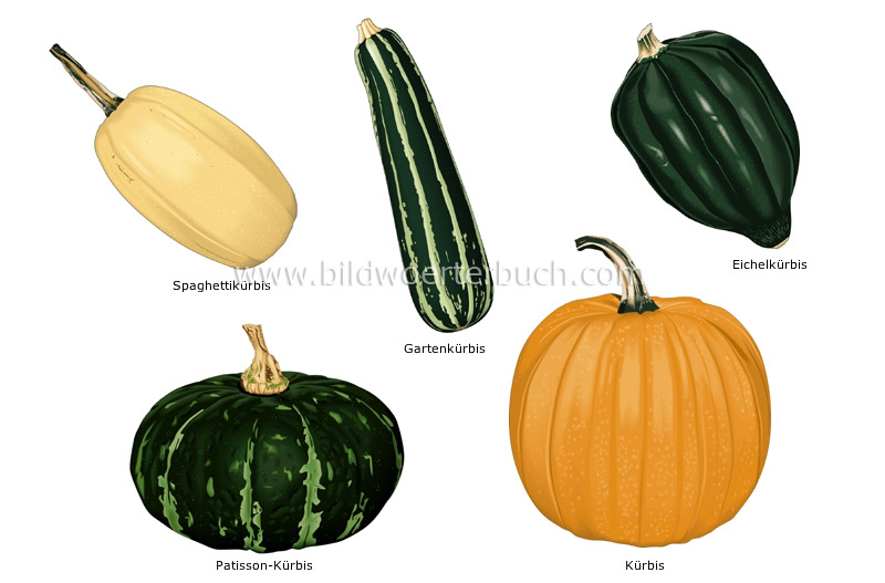 fruit vegetables image