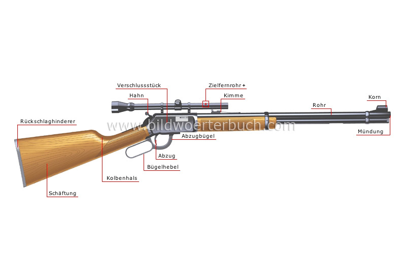 rifle (rifled bore) image