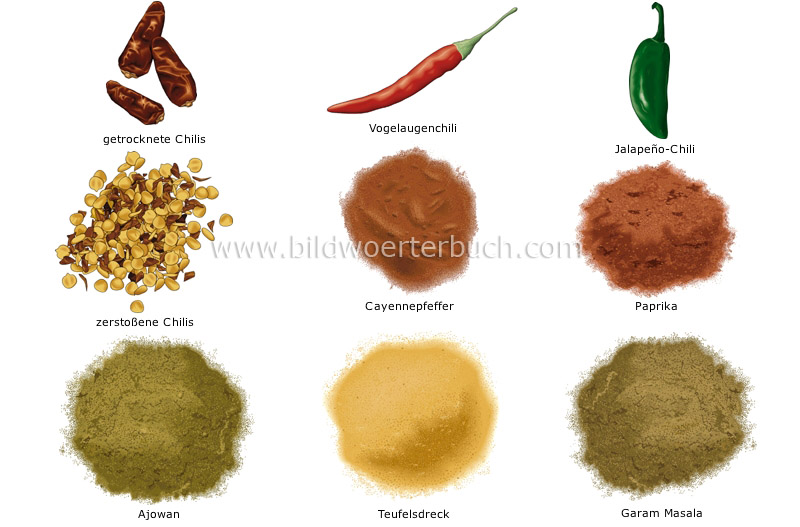 spices image