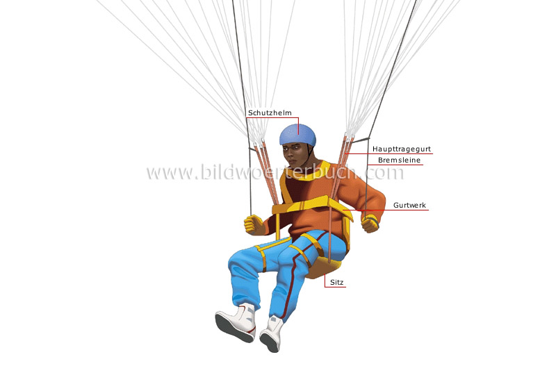 paragliding pilot image