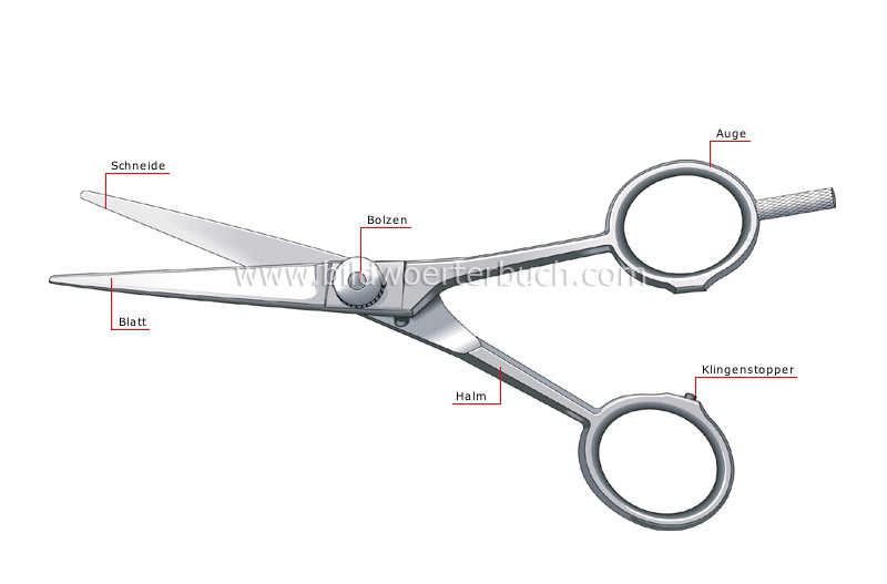 haircutting scissors image