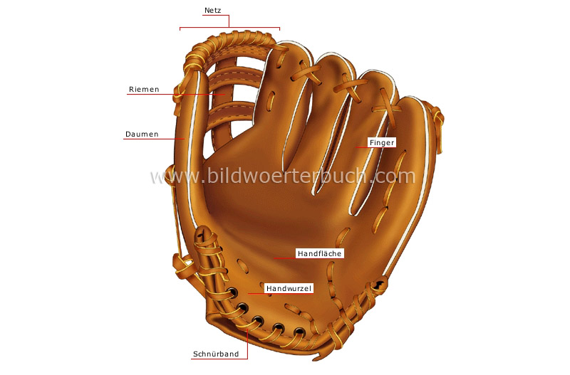 fielder’s glove image