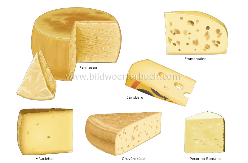 pressed cheeses image