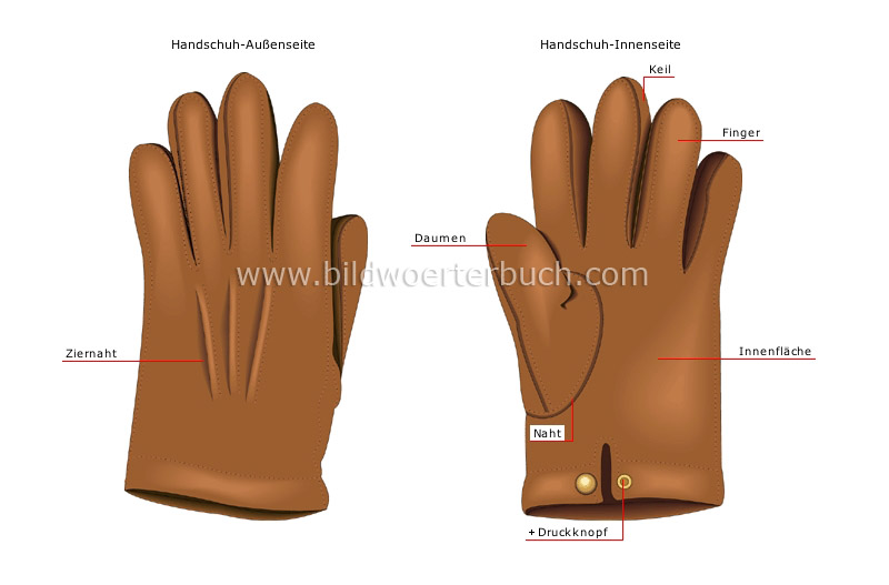 men’s gloves image