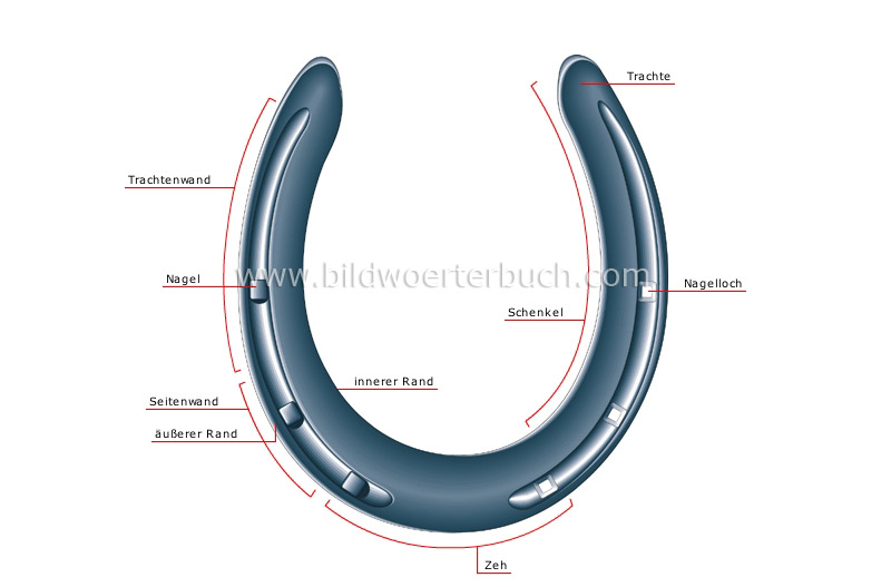 horseshoe image