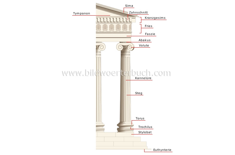 Ionic order image