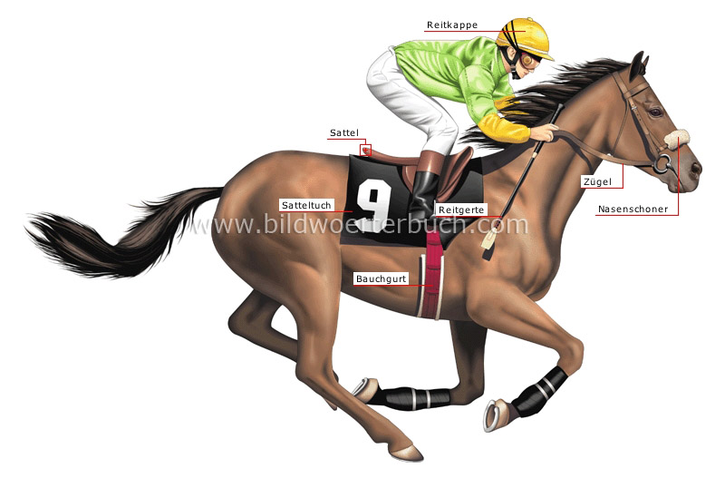 Jockey Bild