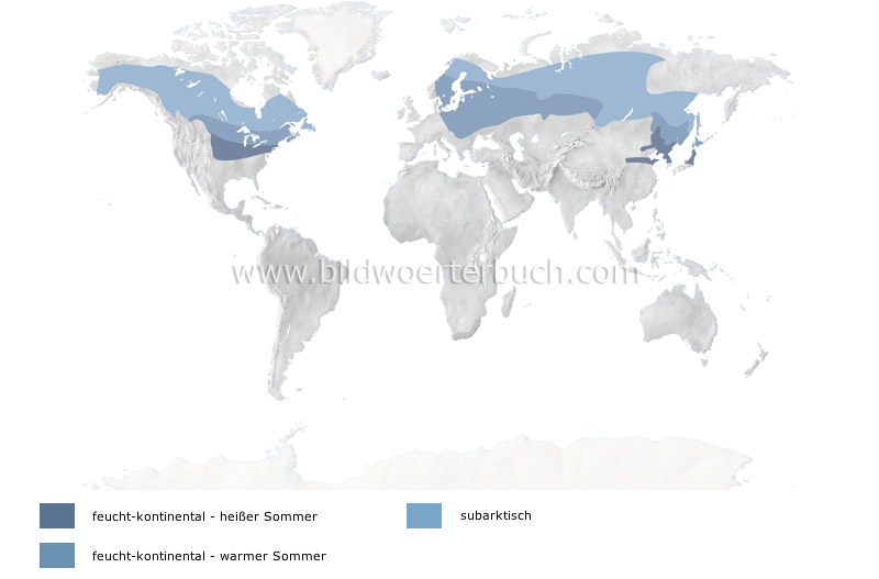 kaltgemäßigte Klimate Bild