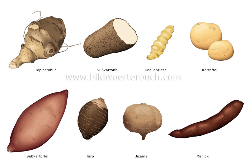 tuber vegetables image