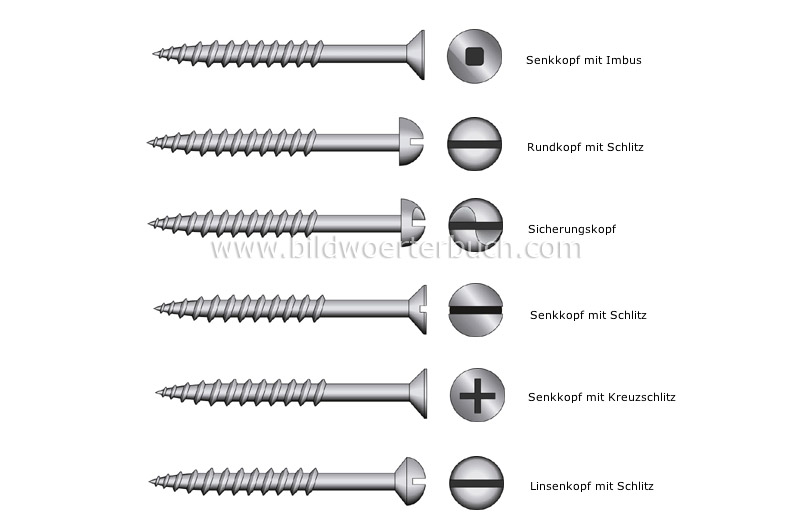 examples of heads image