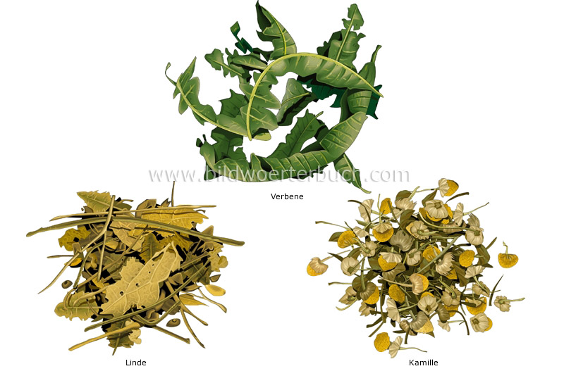 herbal teas image