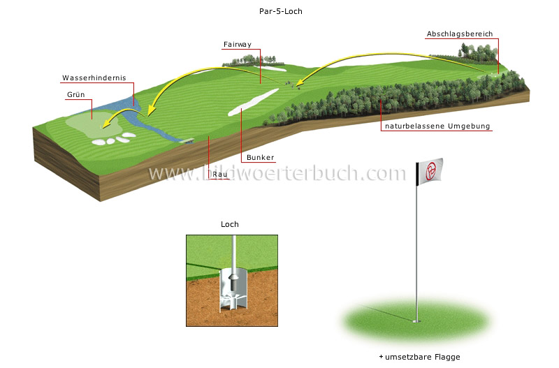 holes image