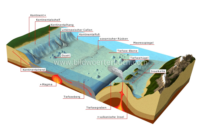 Erde Geologie Meeresboden Bild Bildw rterbuch